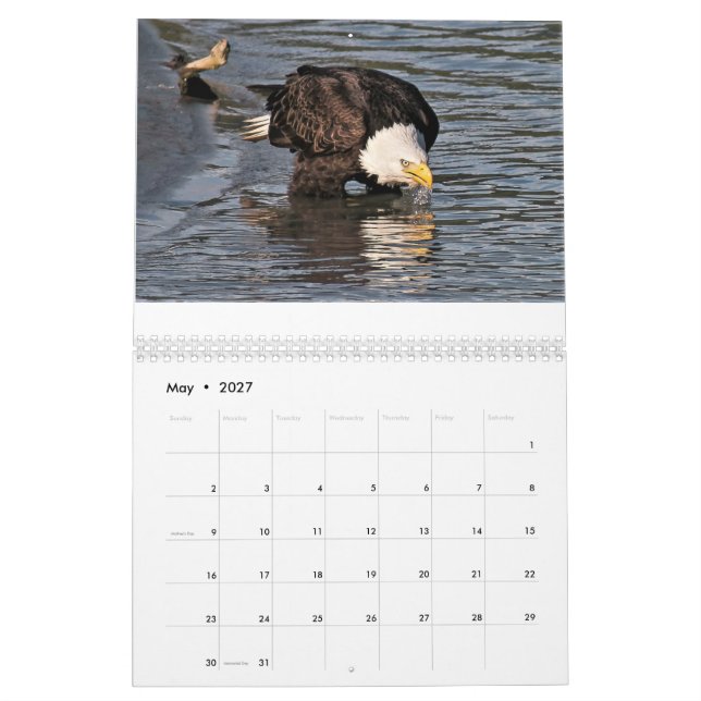 Eagles by Tamara Calendar (May 2027)