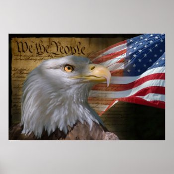 Eagle's Collage Poster by artNimages at Zazzle