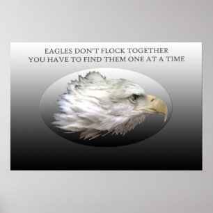 Eagles Don't Fly Together Poster