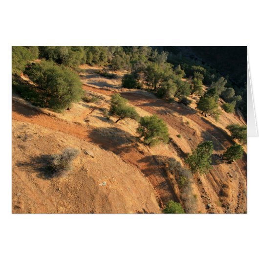 eAgLe'S eYe vIeW Cards (Front Horizontal)