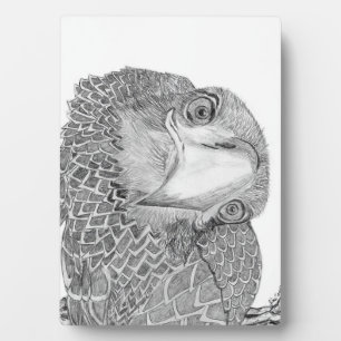 EAGLES HARRIET + M HOME FAMILY TREE E9 SOARS PLAQUE