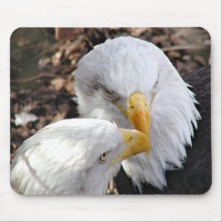 eagles mouse pad