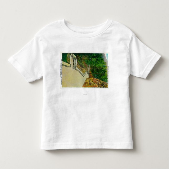 Eagle's Nest Observatory on Columbia River Toddler T-shirt (Front)