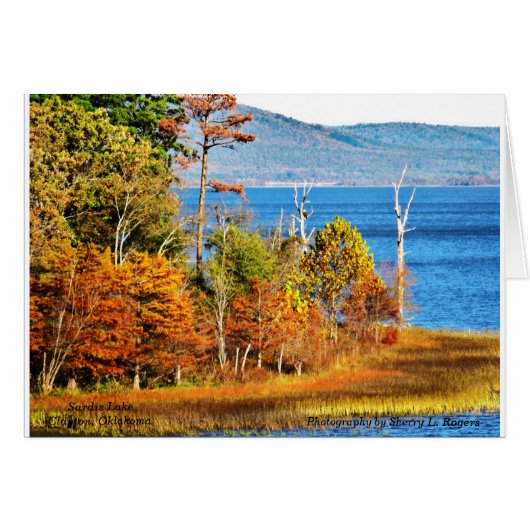 ~Eagles on Sardis Lake~ (Front Horizontal)