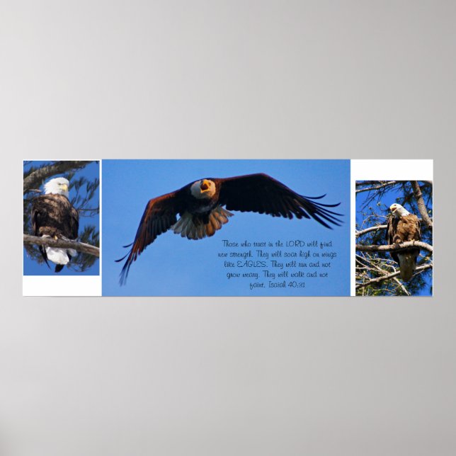 Eagles Poster (Front)