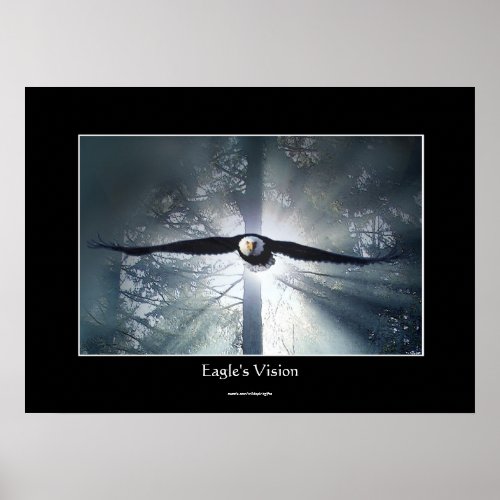 Eagles Vision Misty Forest Wildlife Fantasy Art Poster