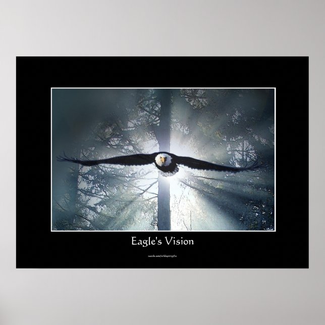 Eagle's Vision Misty Forest Wildlife Fantasy Art Poster (Front)