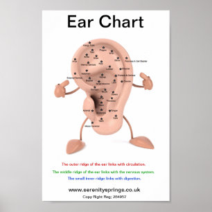 Ear Chart
