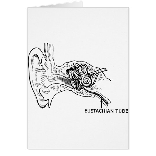 Ear diagram card