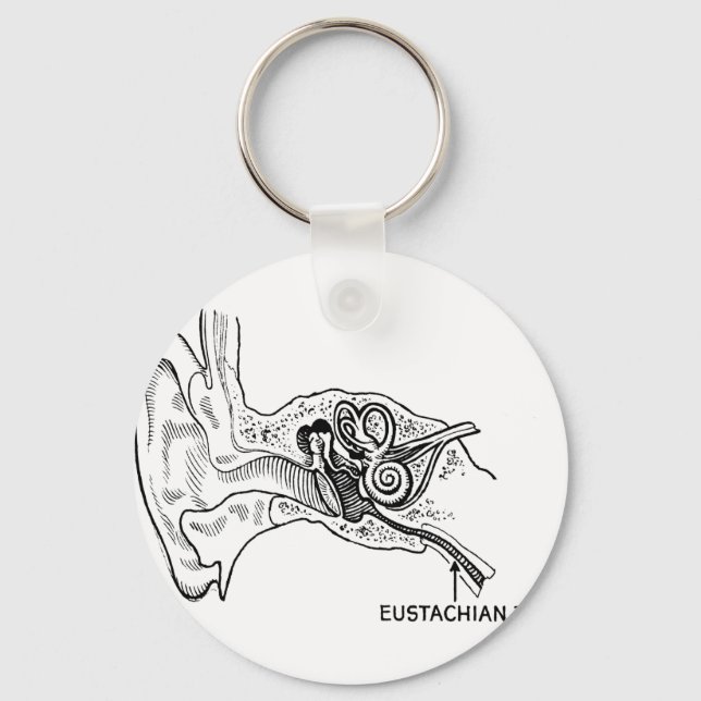 Ear diagram keychain (Front)