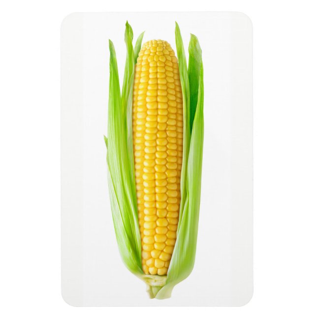 Ear of corn magnet (Vertical)
