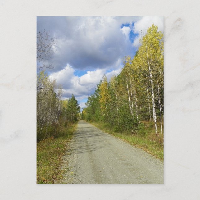 Early Autumn Trail Postcard (Front)