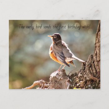 Early Bird Birthday Wishes Postcard by Siberianmom at Zazzle