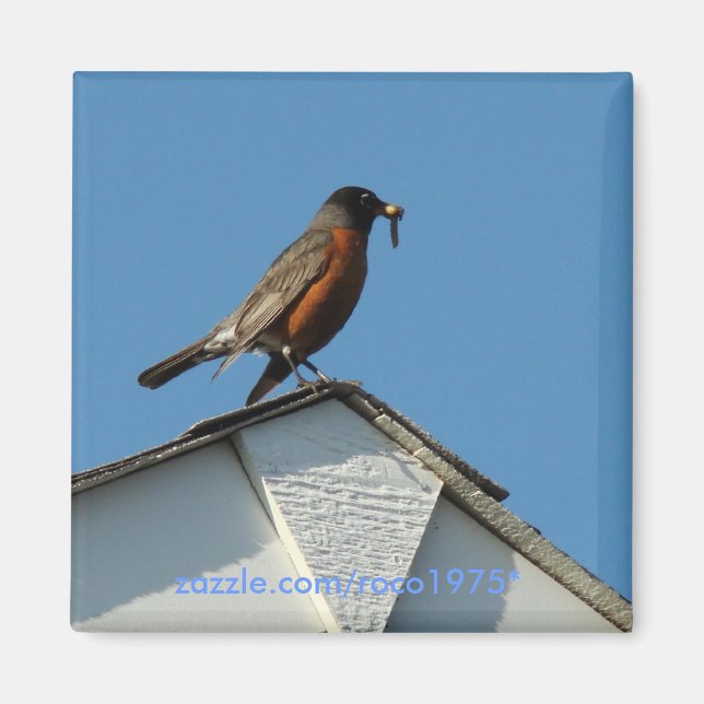 Early Bird Magnet (Front)