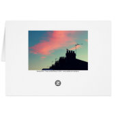 Early Birds (Back Horizontal)