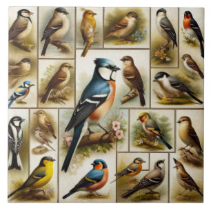 Early Birds Ceramic Tile