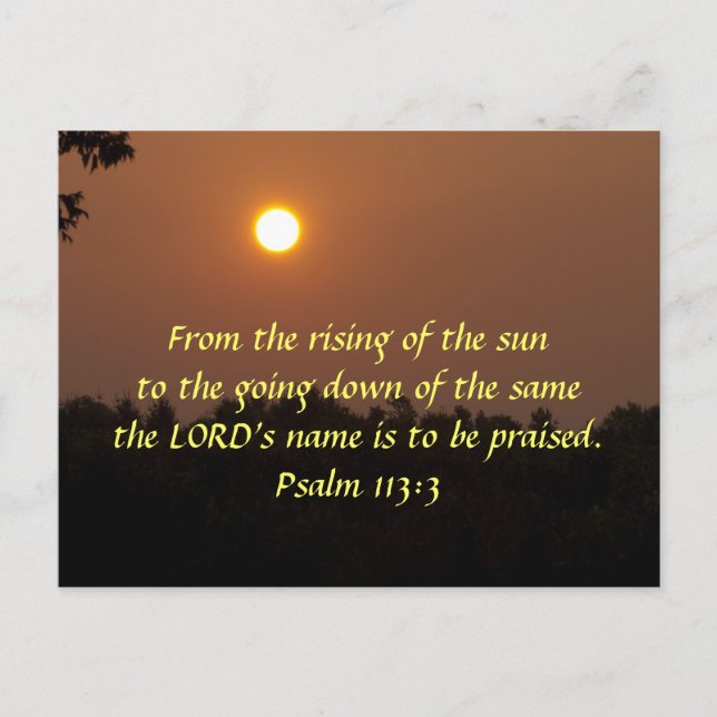 Early Dawn Late June Postcard (Front)