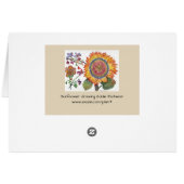 Early Day Sunflower Cards (Back Horizontal)