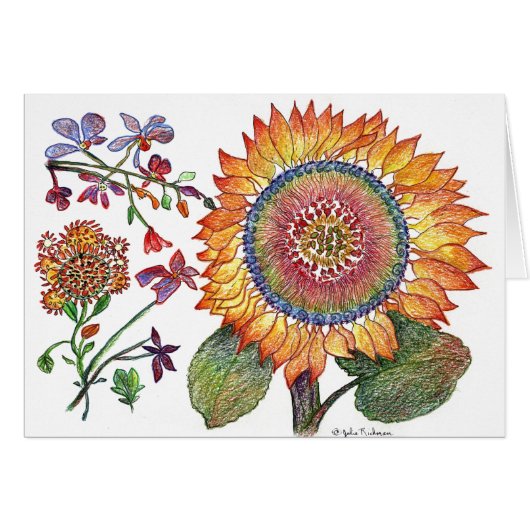 Early Day Sunflower Cards (Front Horizontal)