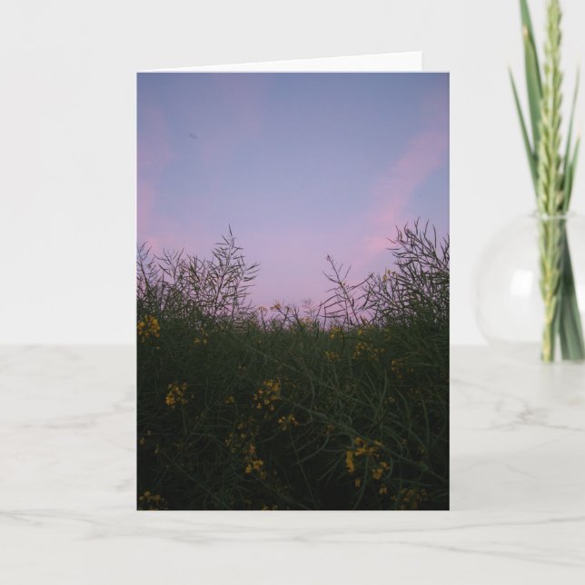 early evening amongst the foliage card (Front)