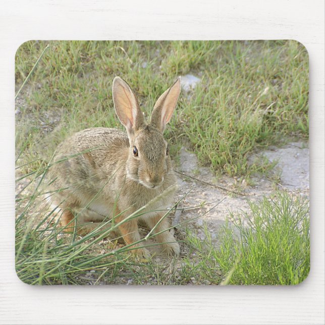 Early Evening Bunny Mouse Pad (Front)