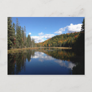 Early Fall in the Algonquin Provincial Park Postcard