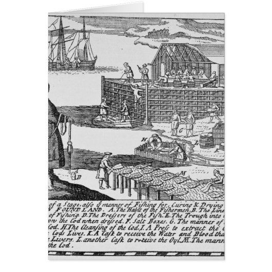 Early Fishing Stages Cards (Front)