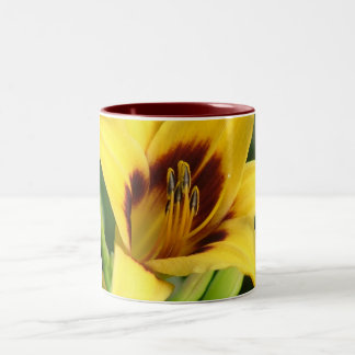 Early Morning by Nature Bug Two-Tone Coffee Mug