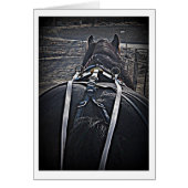 Early Morning Drive (Front)