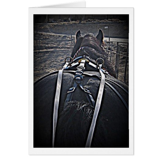 Early Morning Drive (Front)