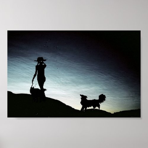 Early morning herdBorder Collie Poster