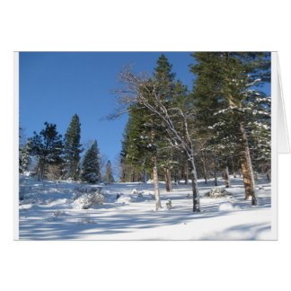 Early Morning in the Sierras Cards
