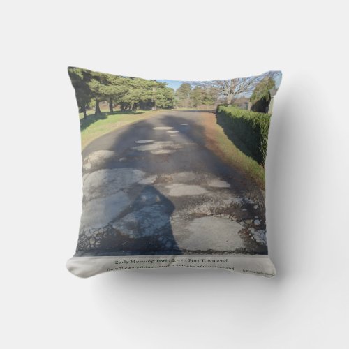 Early Morning Potholes Outdoor Pillow