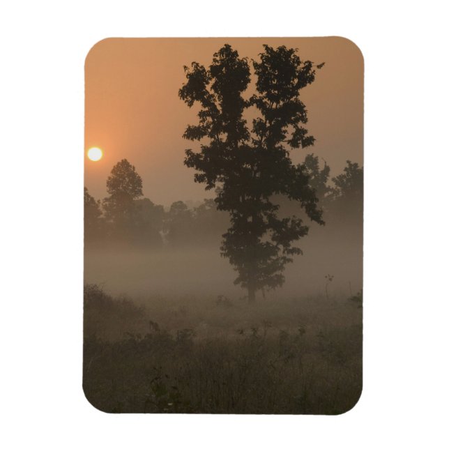 Early morning, rising sun and ground fog magnet (Vertical)
