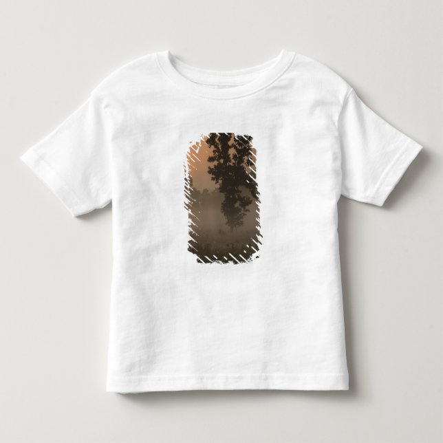 Early morning, rising sun and ground fog toddler t-shirt (Front)