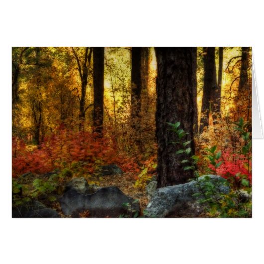 Early Morning Walk (Front Horizontal)