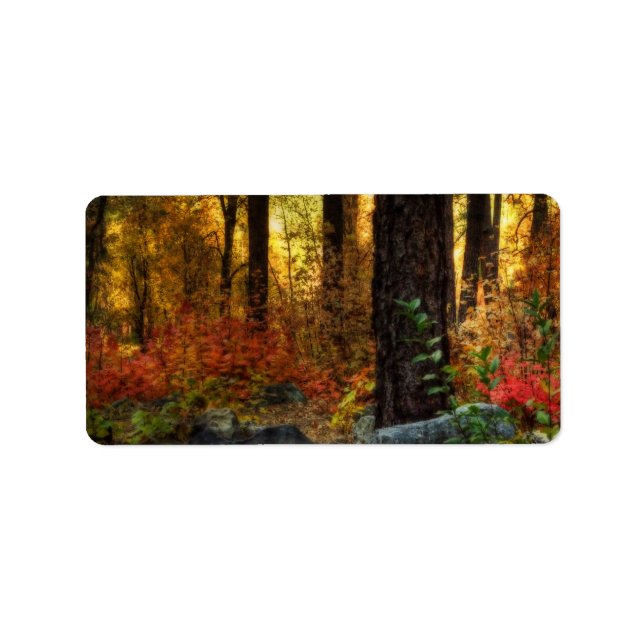 Early Morning Walk Label (Front)