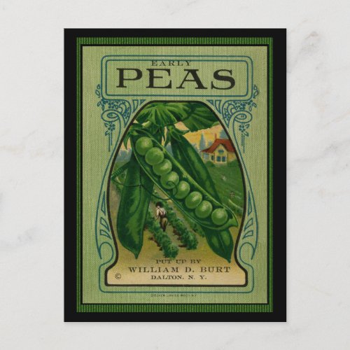 Early Peas Vintage Seed Packet Postcard