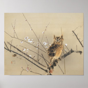 Early Plum Blossoms by Nishimura Goun, Owl Art Poster