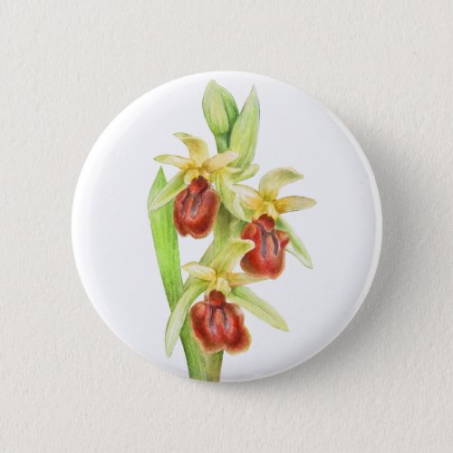 Early spider orchid watercolor art button badge