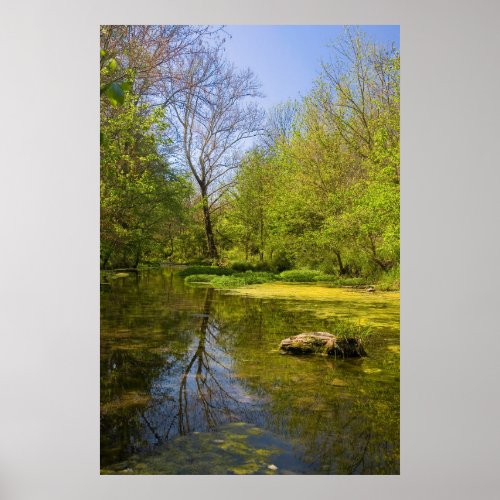 Early Spring Along Creek Near Nashville Poster