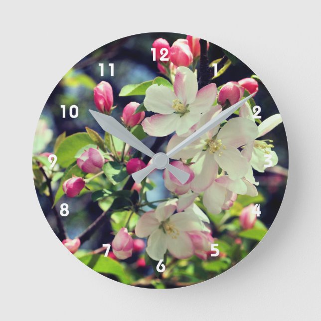 Early Spring Apple Blossoms 3 Close Up  Round Clock (Front)