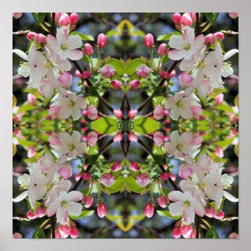 Early Spring Apple Blossoms Abstract  Poster