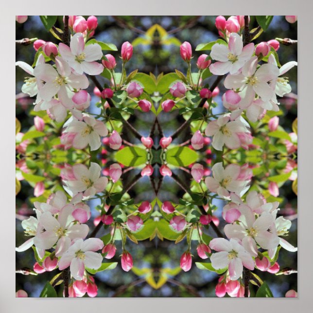 Early Spring Apple Blossoms Floral Nature Art Poster (Front)