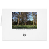 Early Spring at, Bute Park, Cardiff (Back Horizontal)