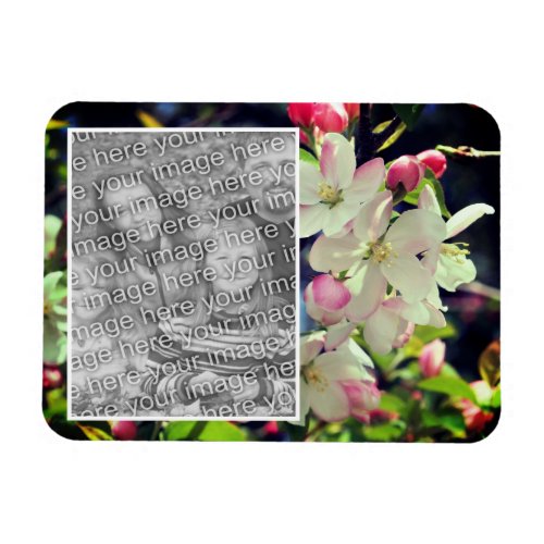 Early Spring Blossoms Frame Add Your Photo Magnet