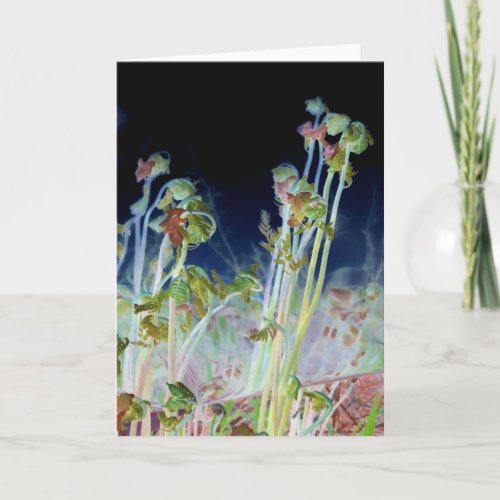 Early Spring Digitally Altered Fiddlehead Ferns Card
