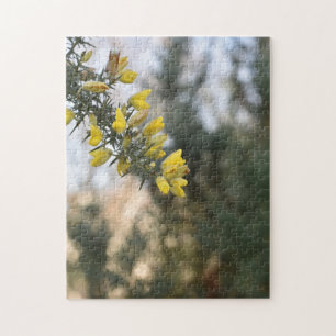 Early Spring Flowers in Hyde Park, London UK Jigsaw Puzzle