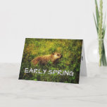 Early Spring greeting card
