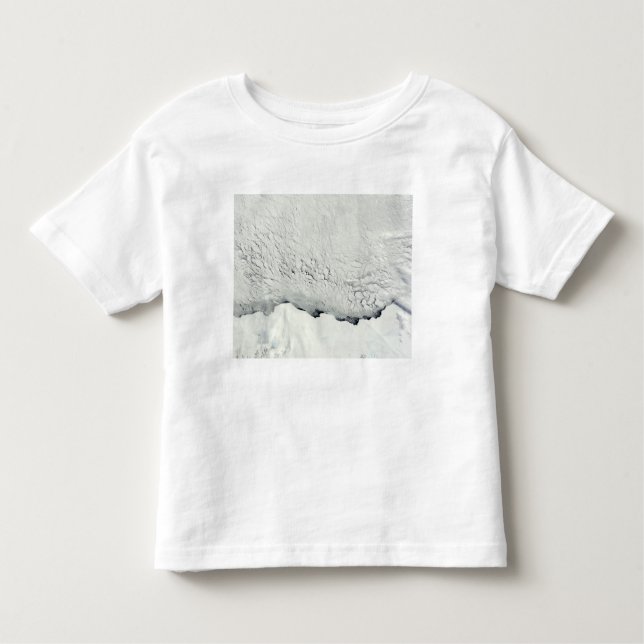 Early spring in the Antarctic Toddler T-shirt (Front)